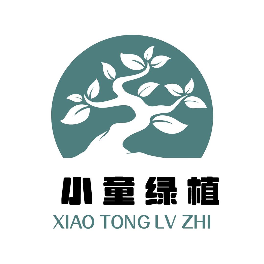 小童园艺绿植