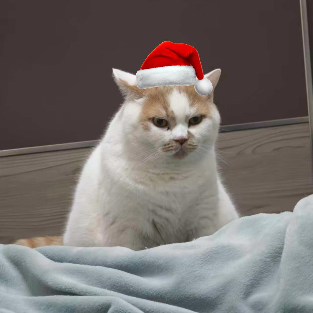 咕噜咕噜✨（躲在被窝里面哭）