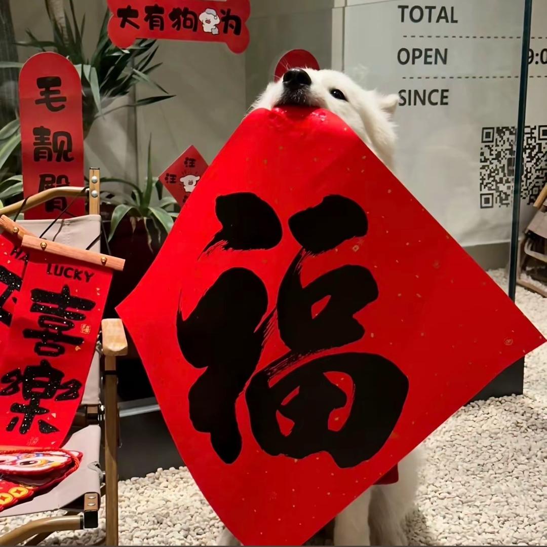 西伯利亚泰坦巨龙徒手捏爆巨大小行星