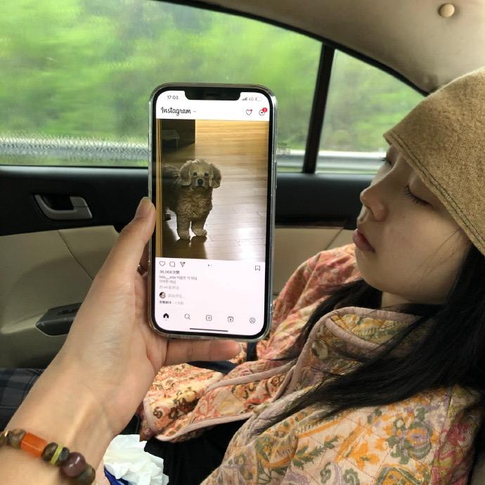 要听神明的话