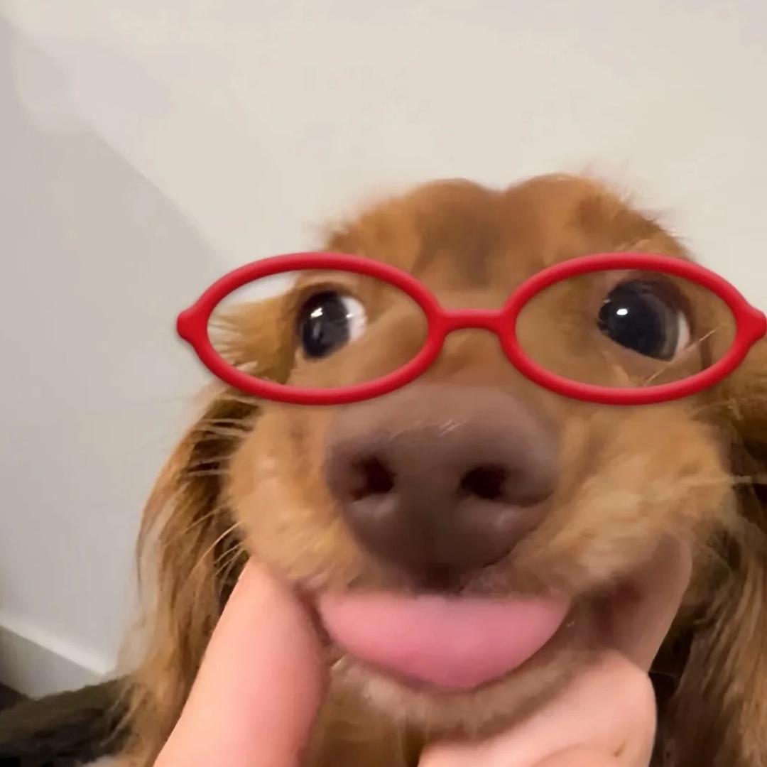 维子zz