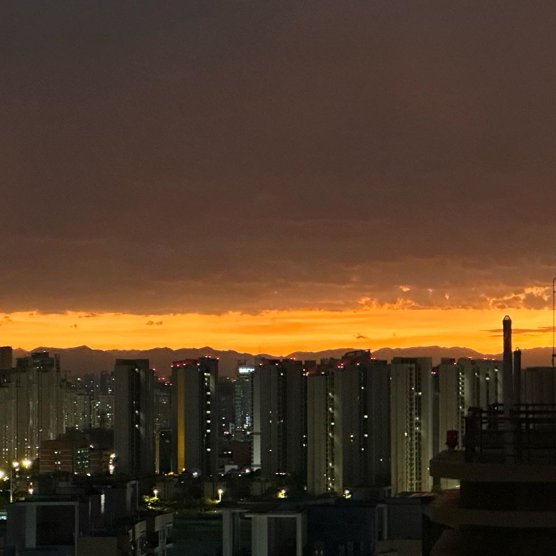 摆摆虎