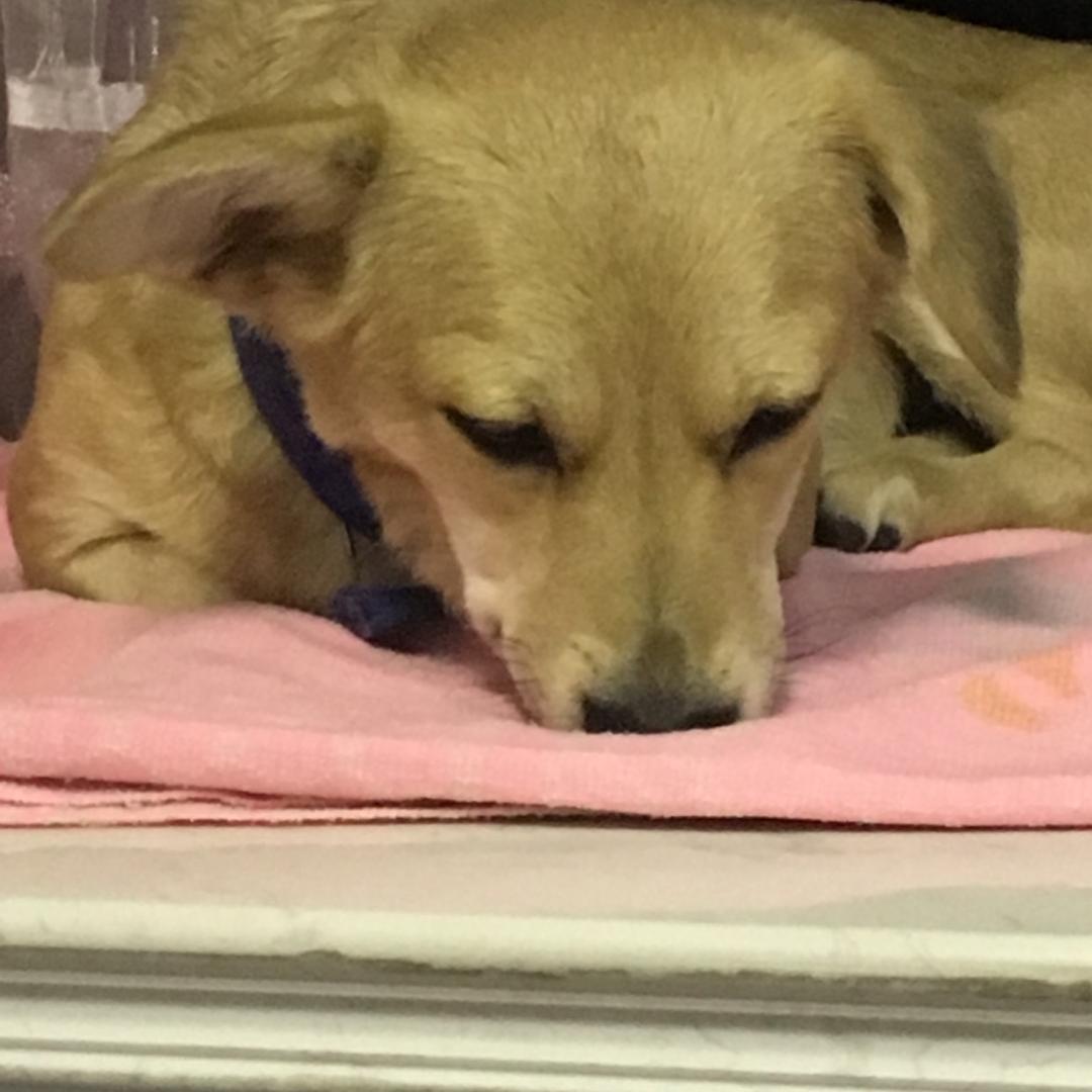 昆山光雨网吧