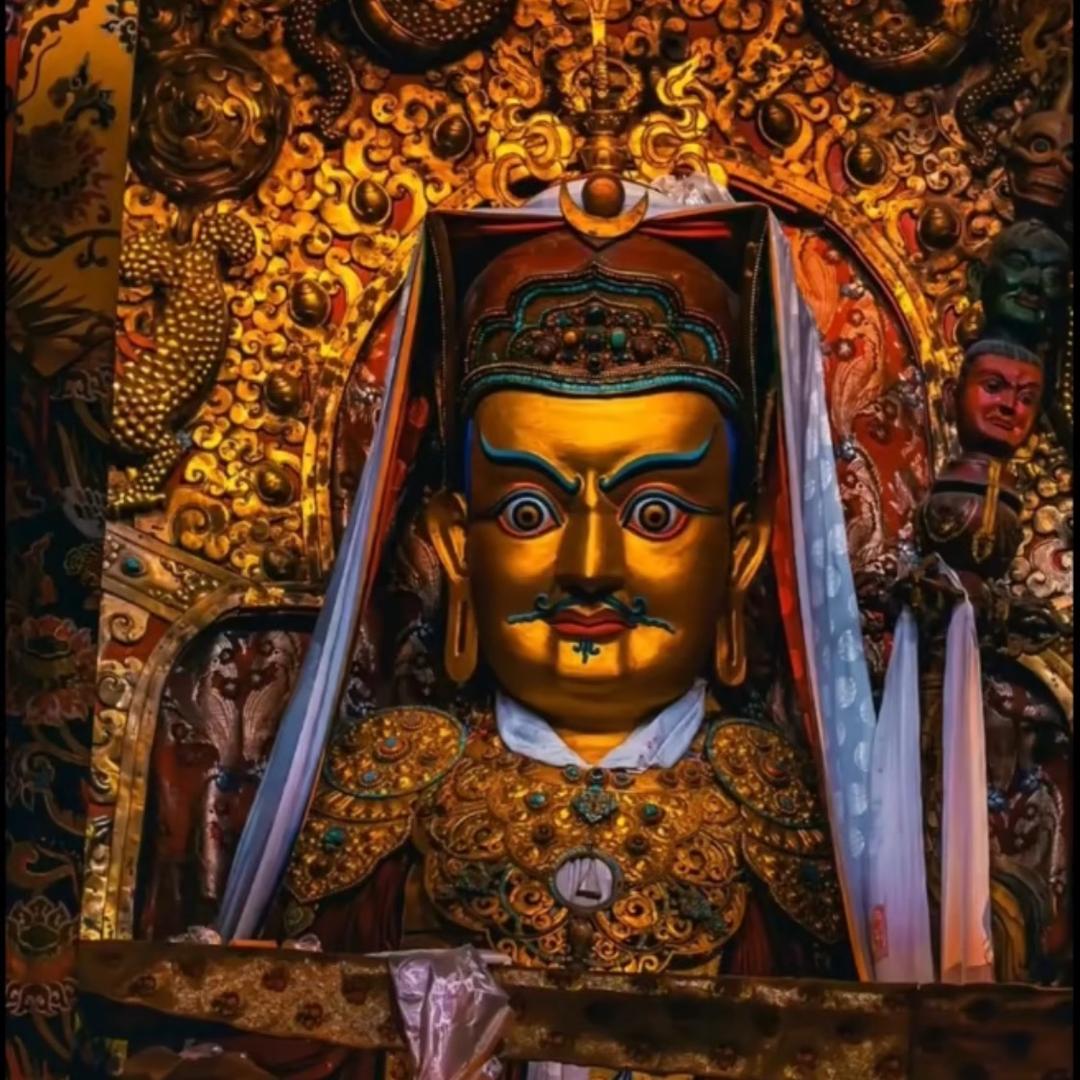 ℳ๓_______白总✨