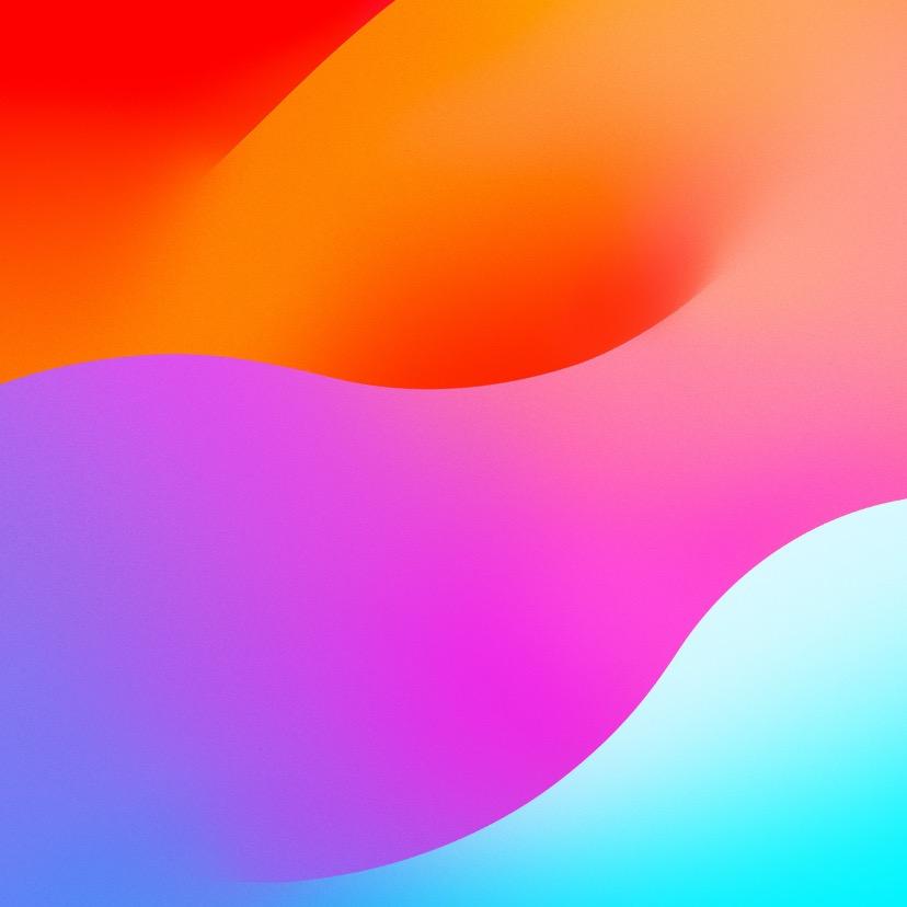 🦋蝴蝶  依依姐