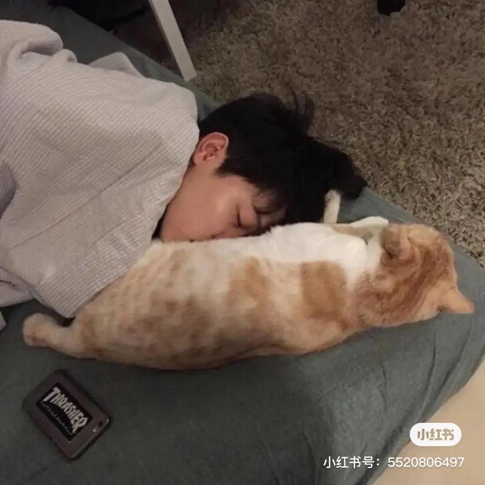 九狐.