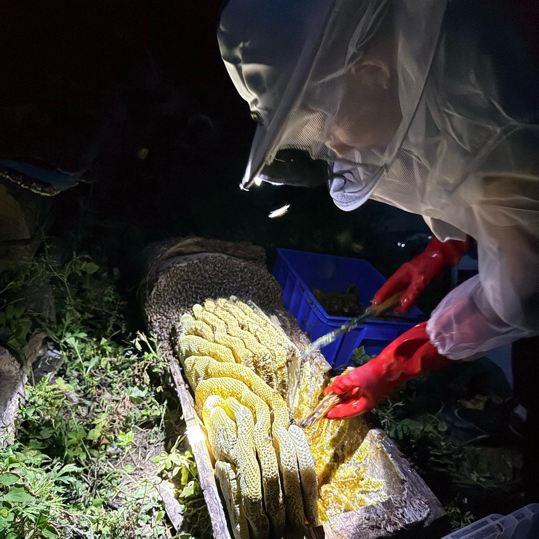 罗大哥（山之宝土特产）