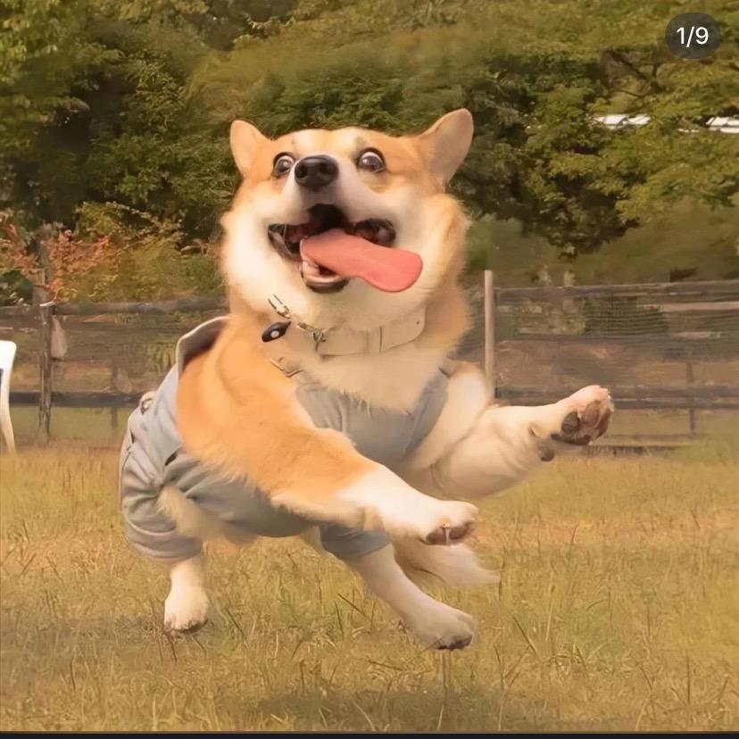 咚奔嘻周💵