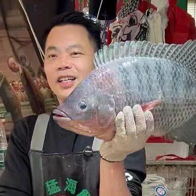 杀鱼伟少Yi