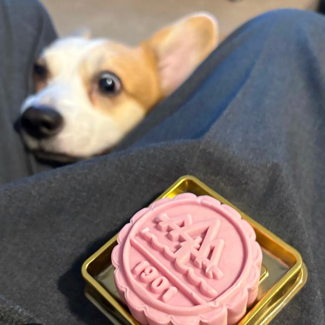 Hú 🫧（见过千玺版