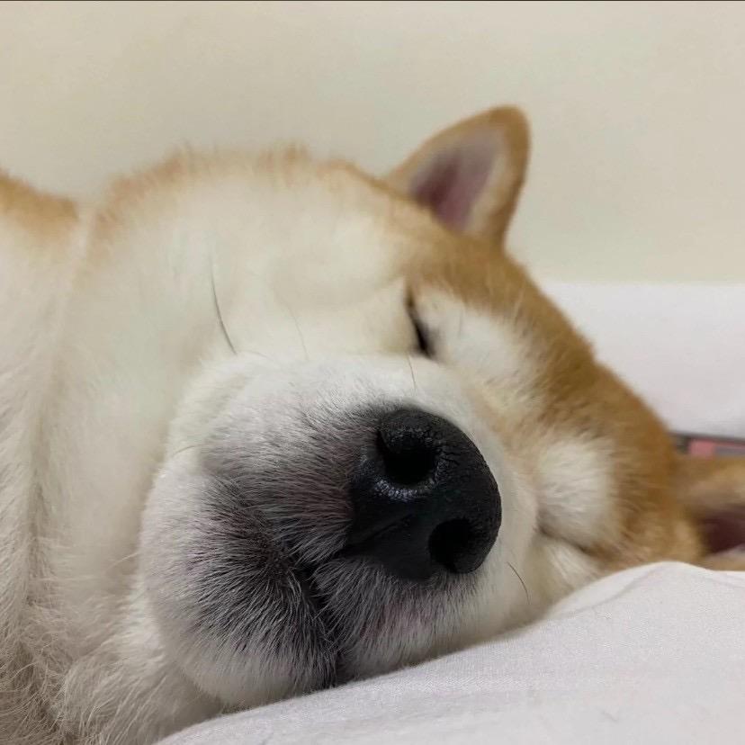 不想玩啦