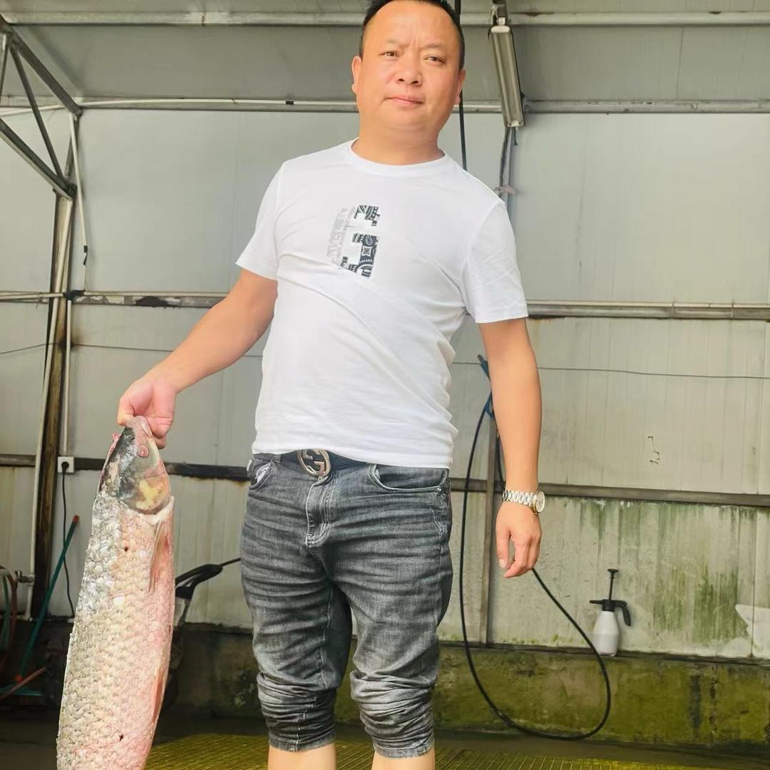 刘兴春