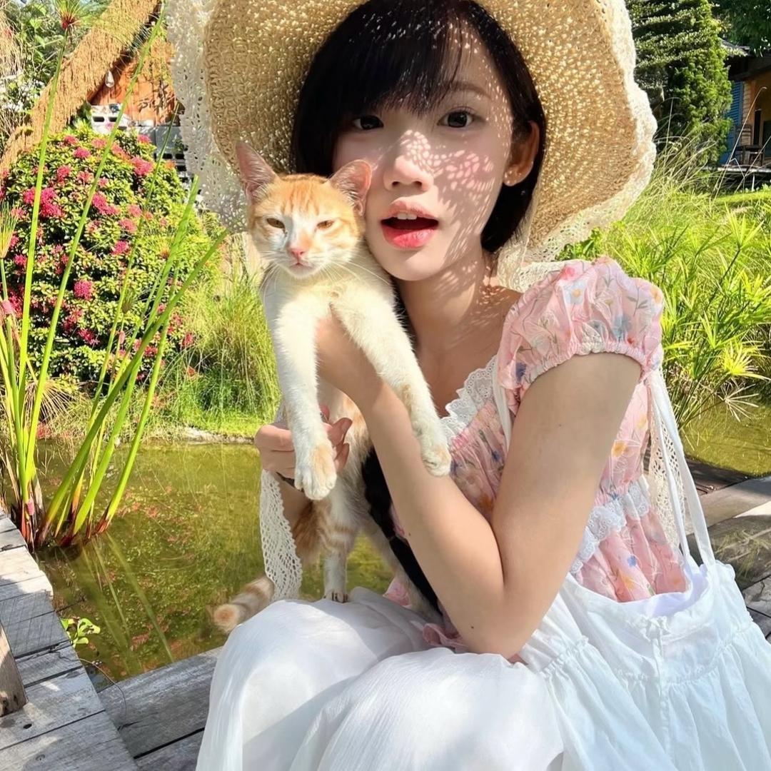 电子鼠
