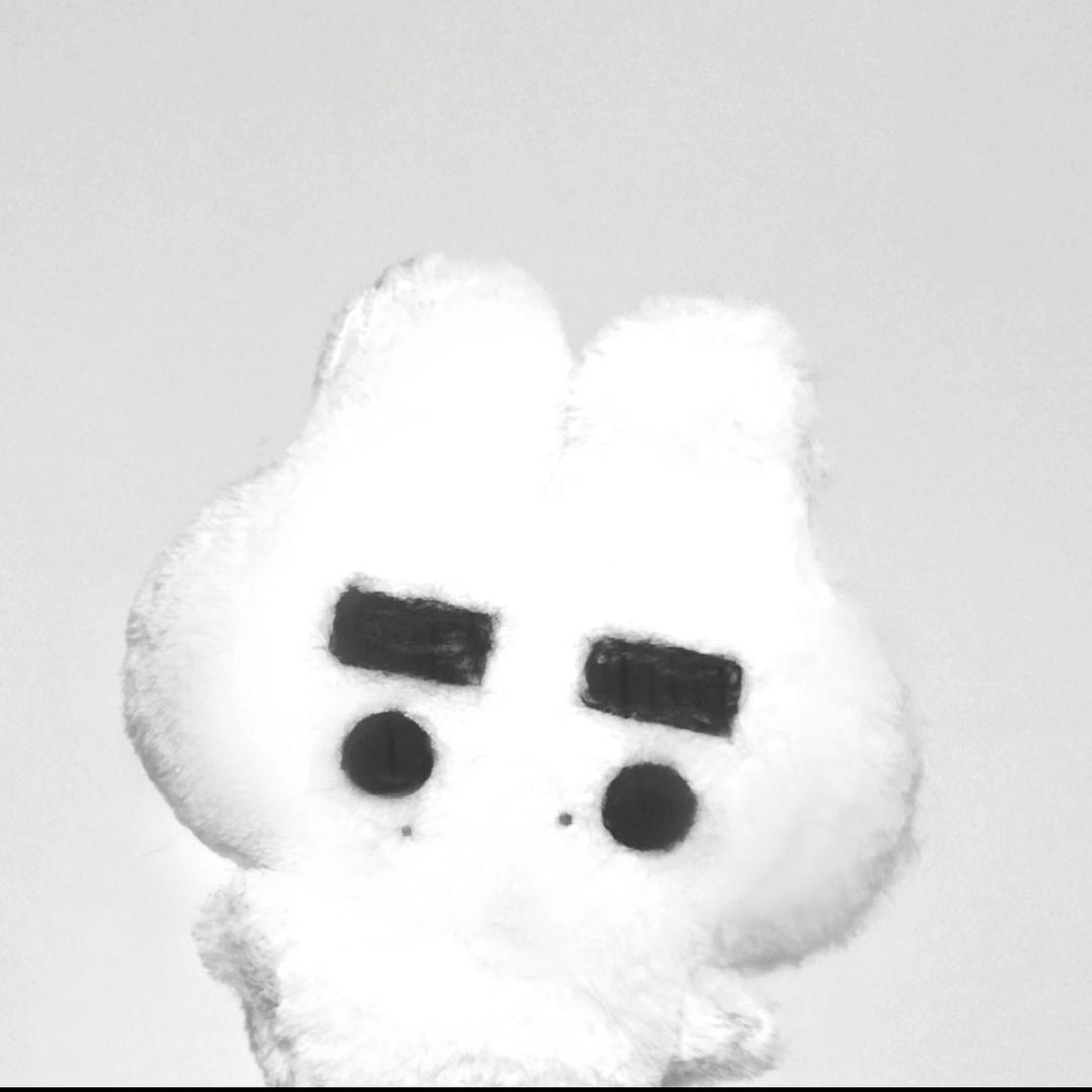 粉色大飞机