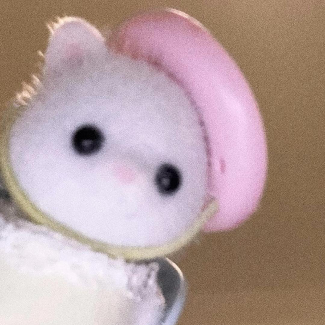 Beibei