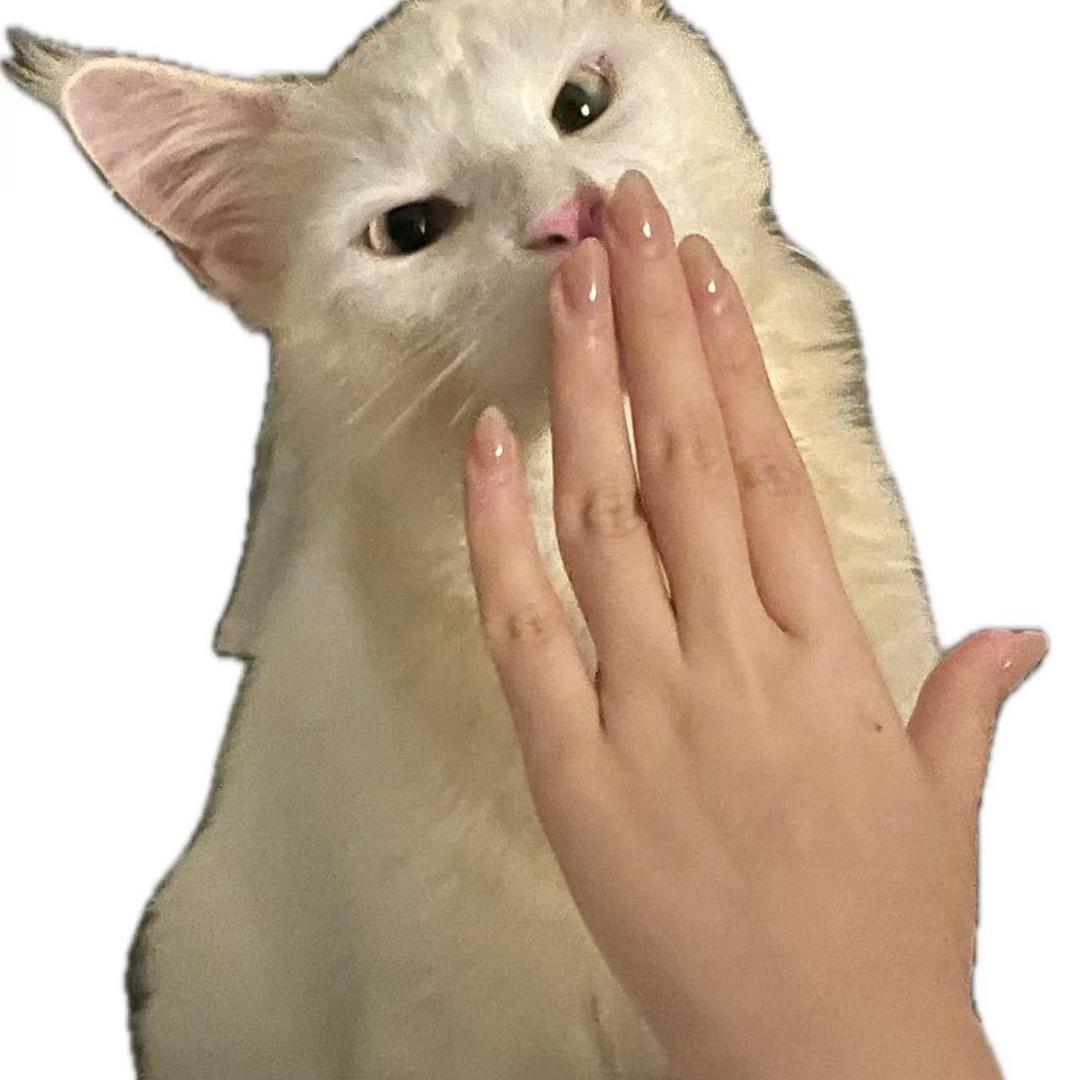 番茄炒鸡蛋（无畏契约）