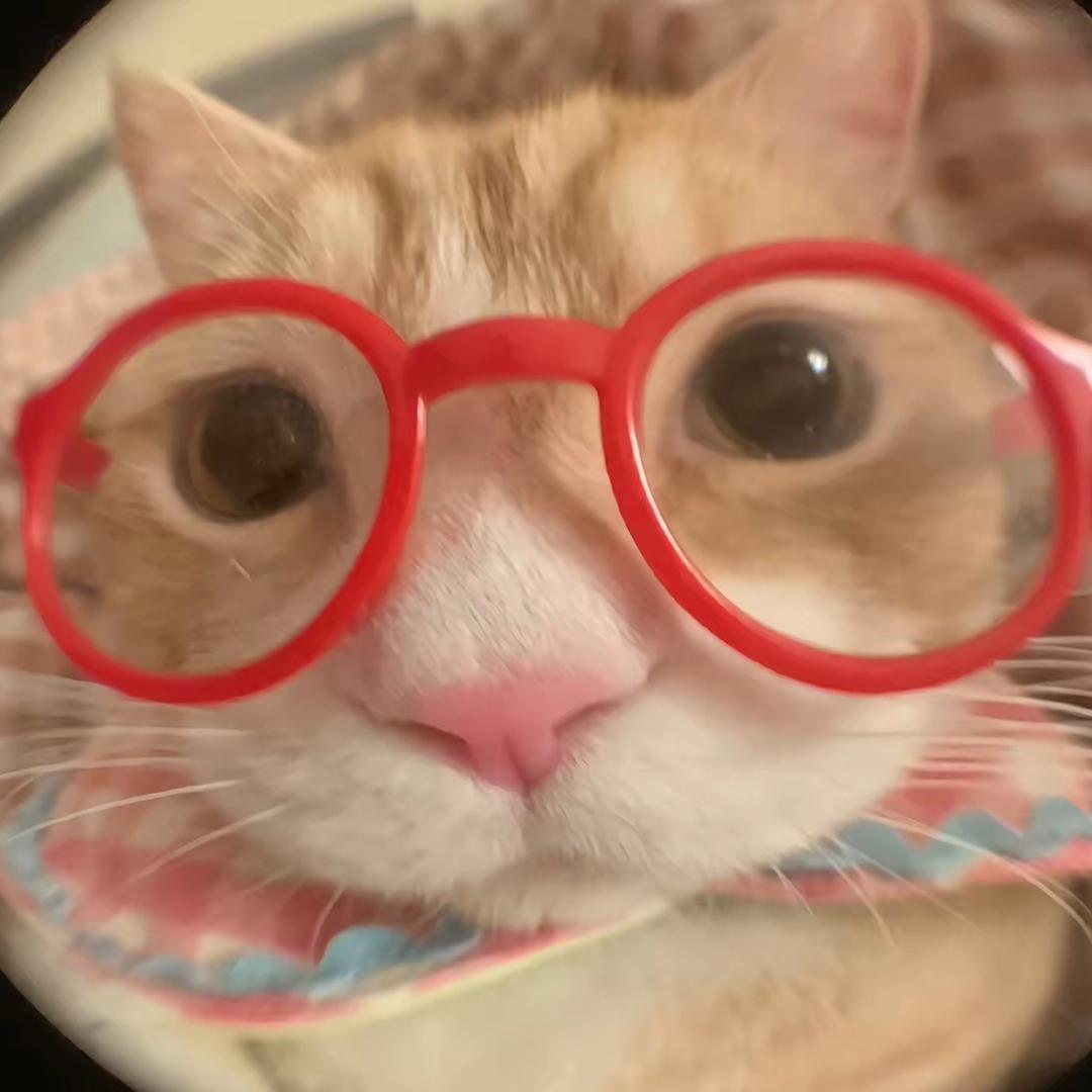 小十一