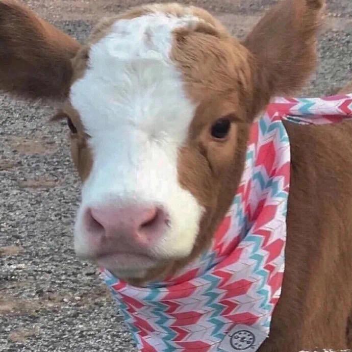 OK💨