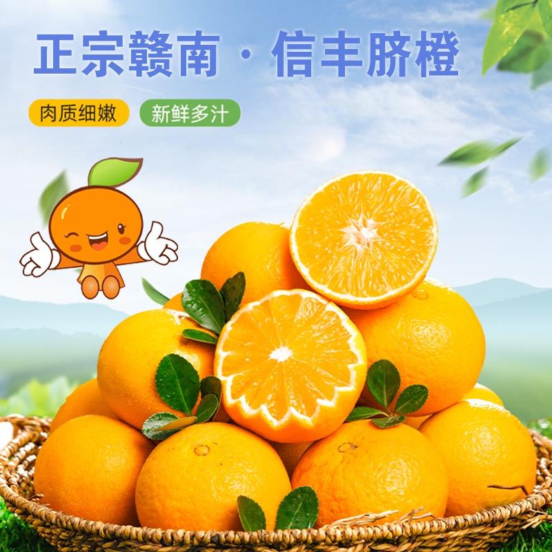 尧界生鲜水果赣南脐橙