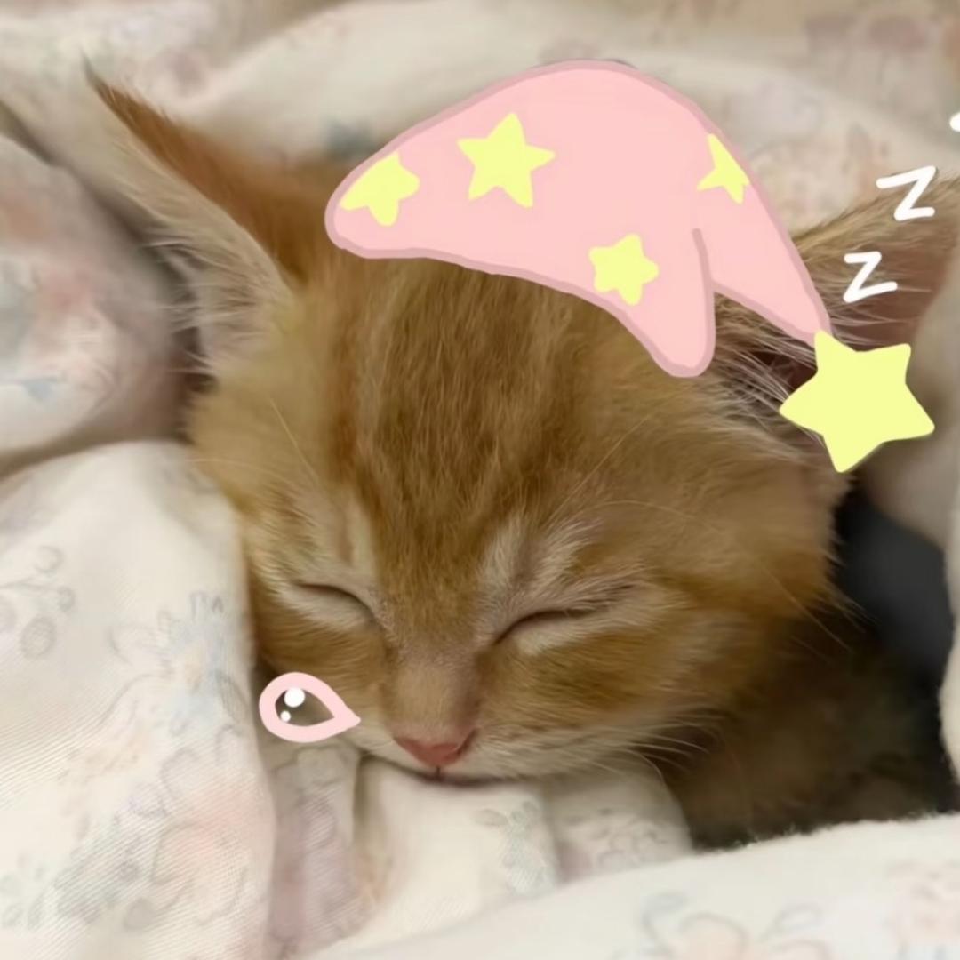 梭子蟹.