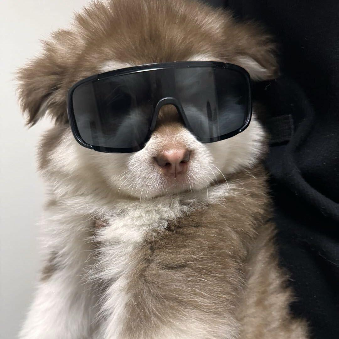 天官赐福