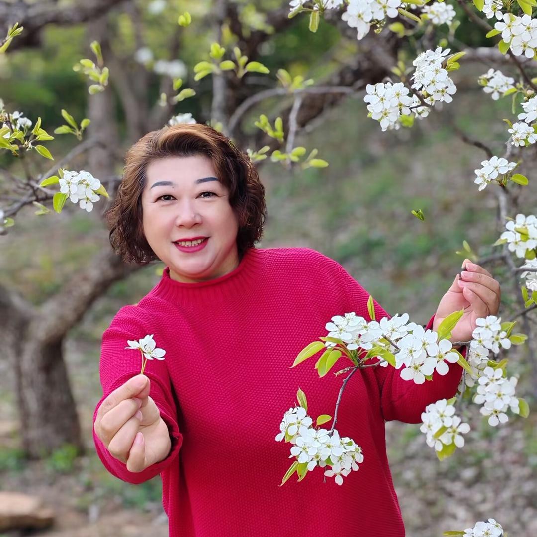 风中的紫藤花