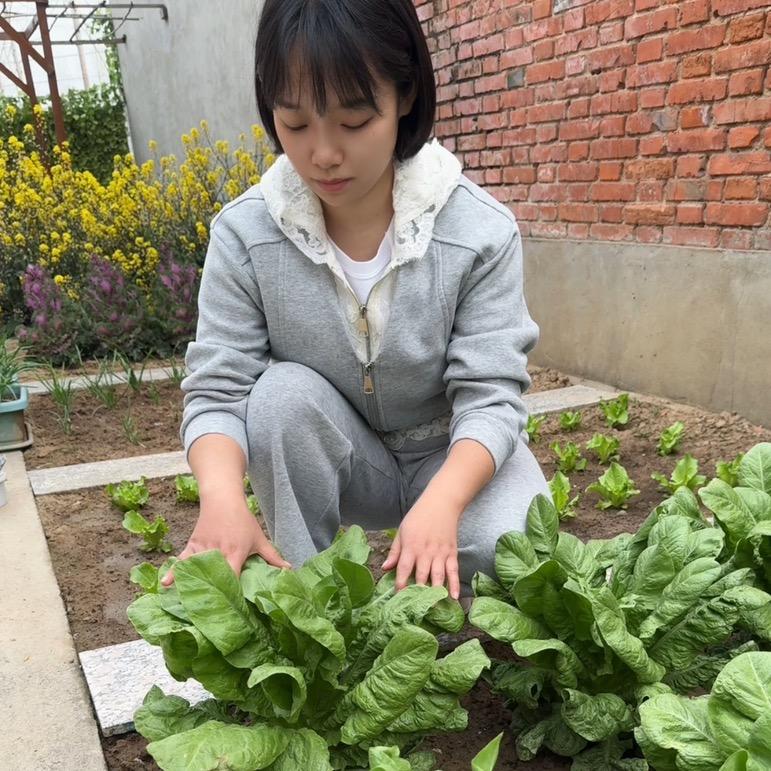 薇薇爱种植