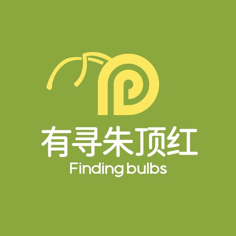 有寻种球朱顶红基地