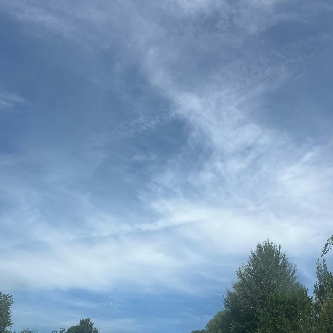 勇闯大西北的夫妻俩