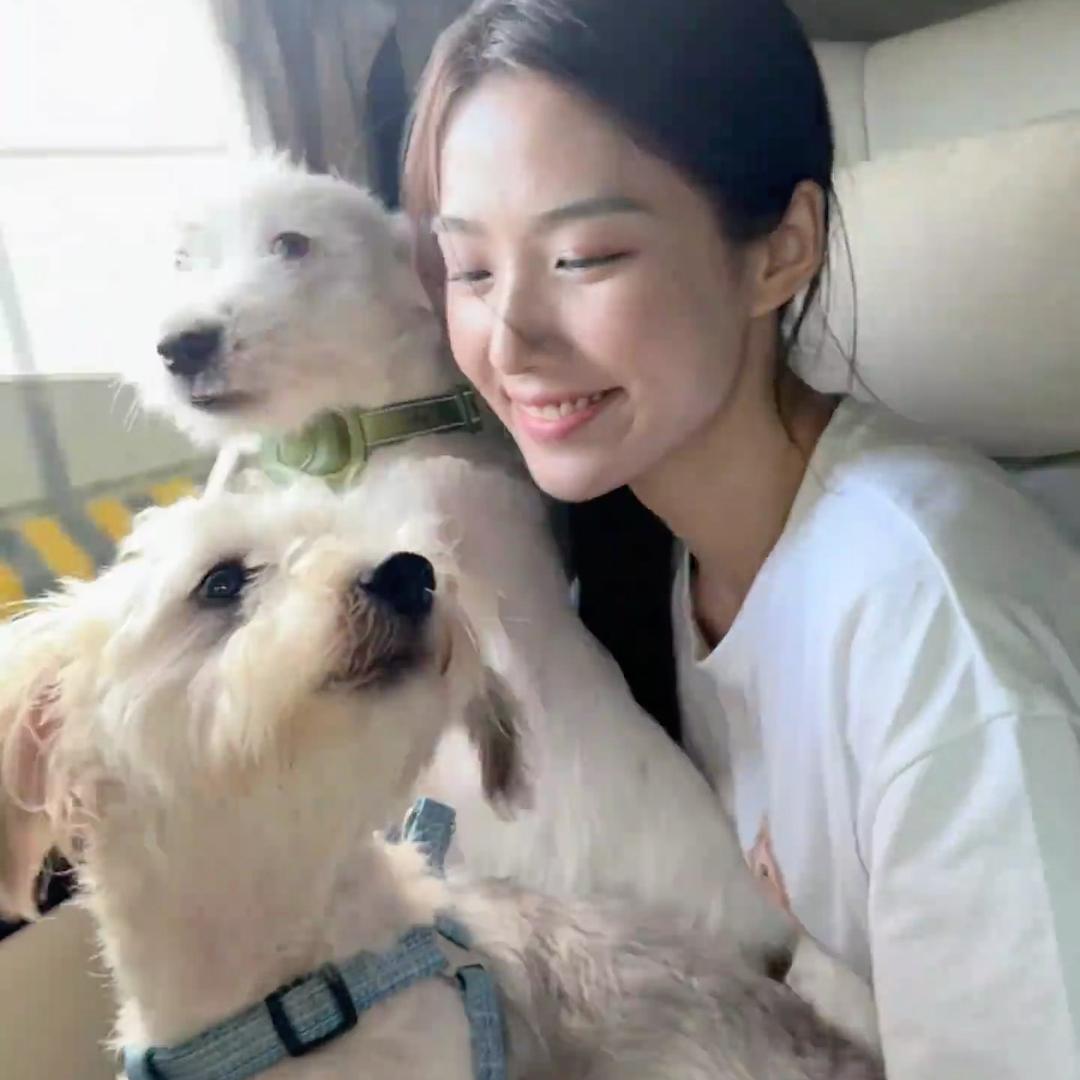 小猫你可以刷抖音