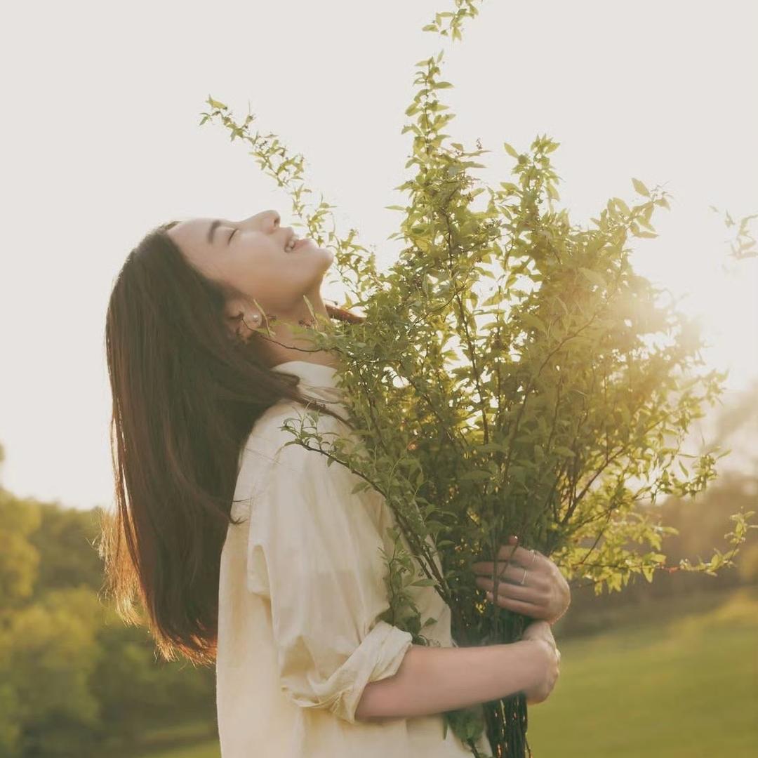 月光手札☘️