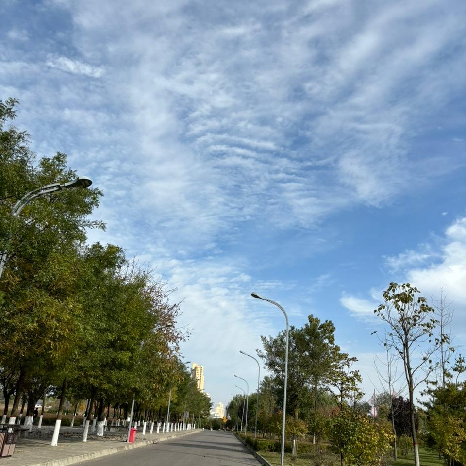 陪伴胜过海誓山盟723