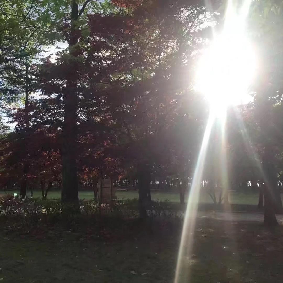 清道夫