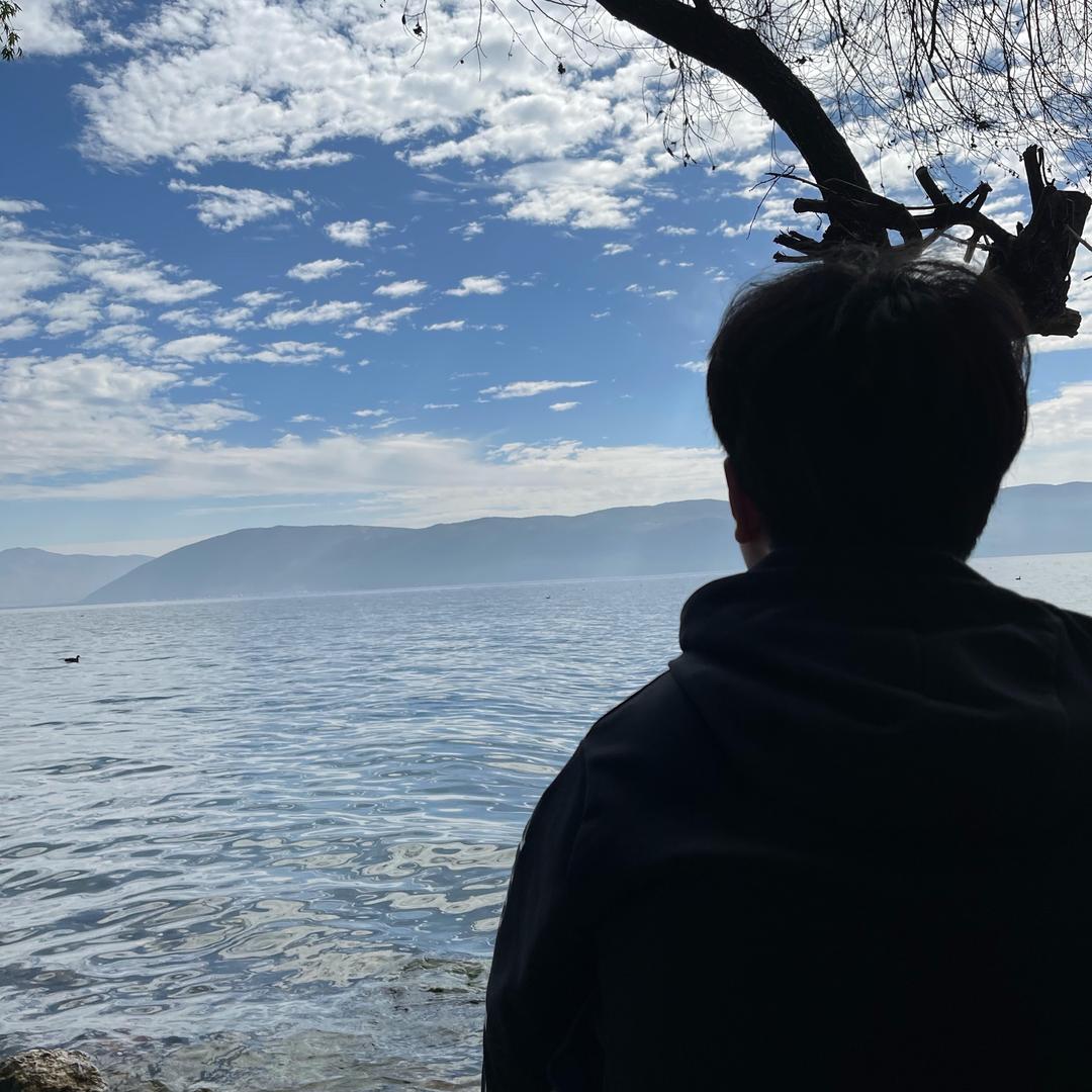 得偿所愿