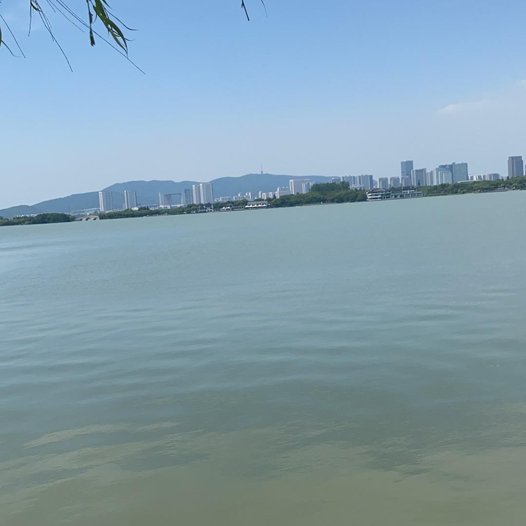 为明天而奋斗🏠🚘🧑‍🦽