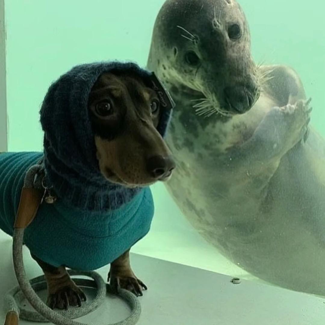 想个名字真的好烦