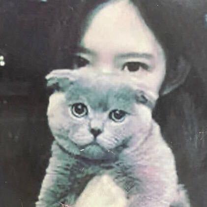 宇