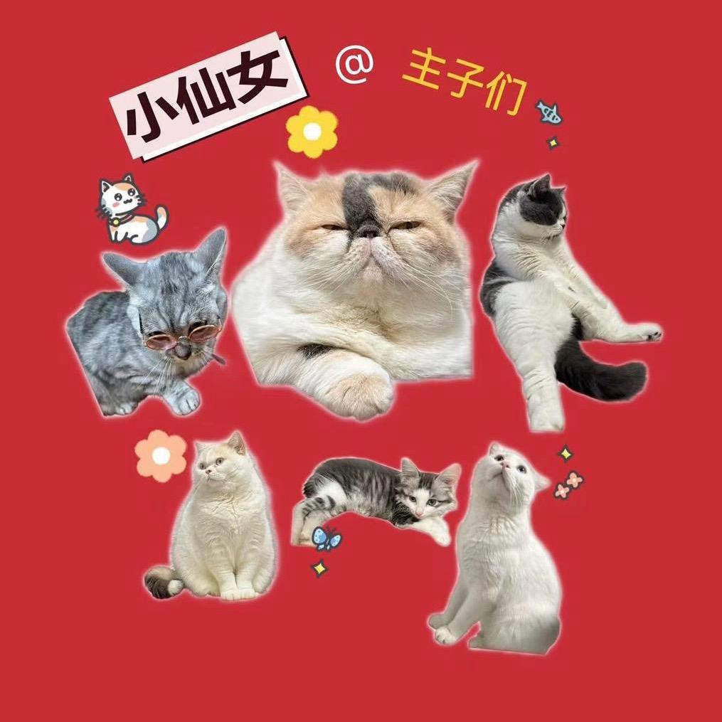 小仙女@主子们🧚