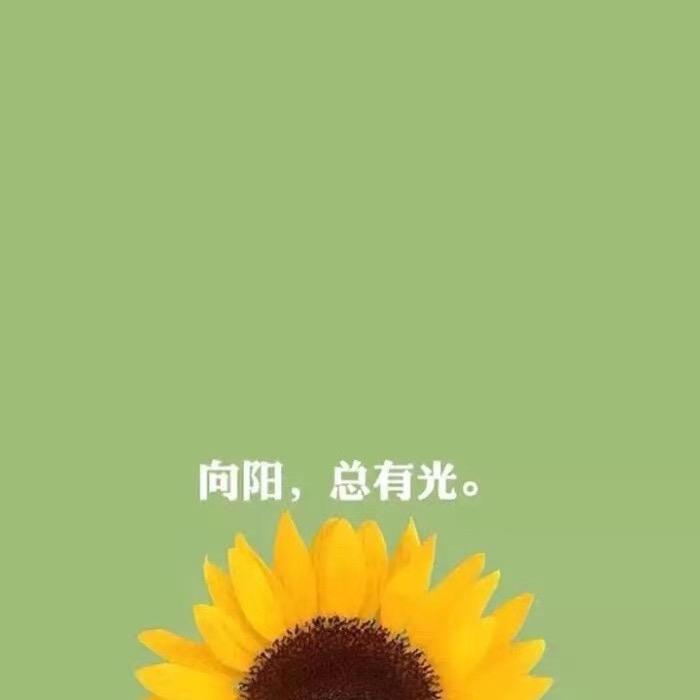 馨和穿搭Socks