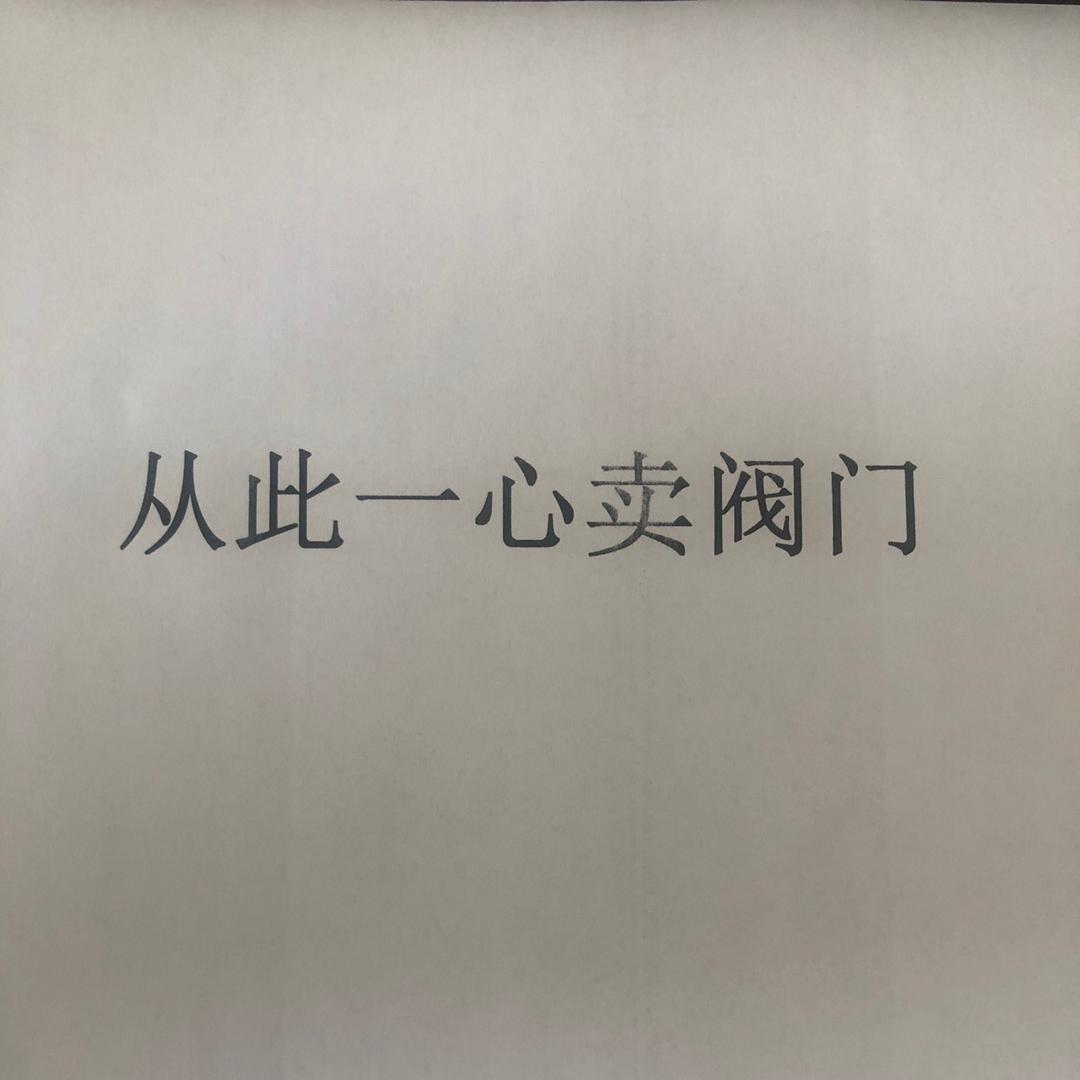 中国九特阀门王雷