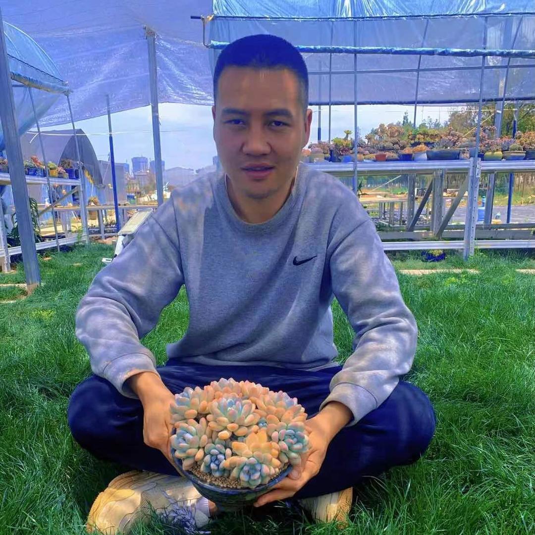 俊熙家精品多肉