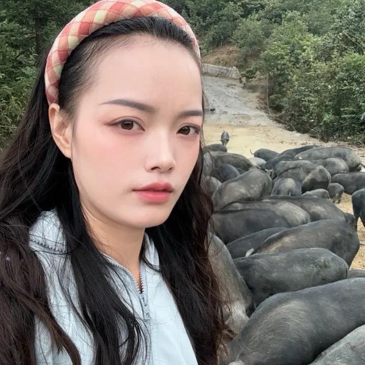 快乐猪宝宝（秀山藏香猪基地）