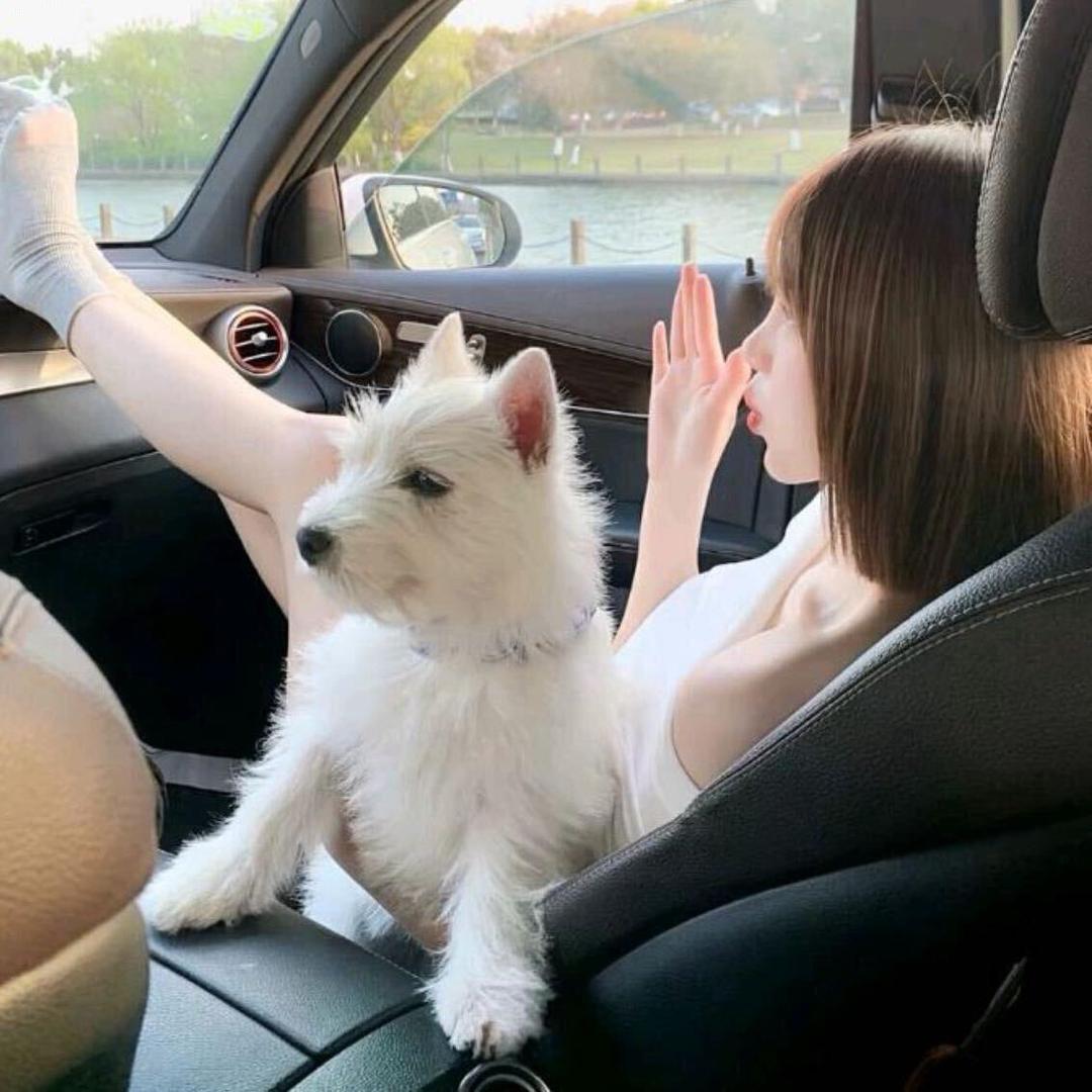 我要吃好吃的