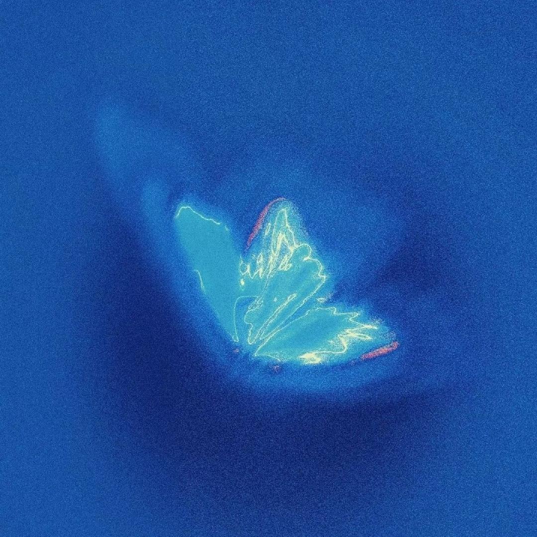 海底的硬币