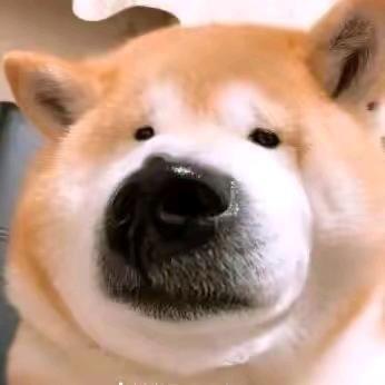 ᵕ̈