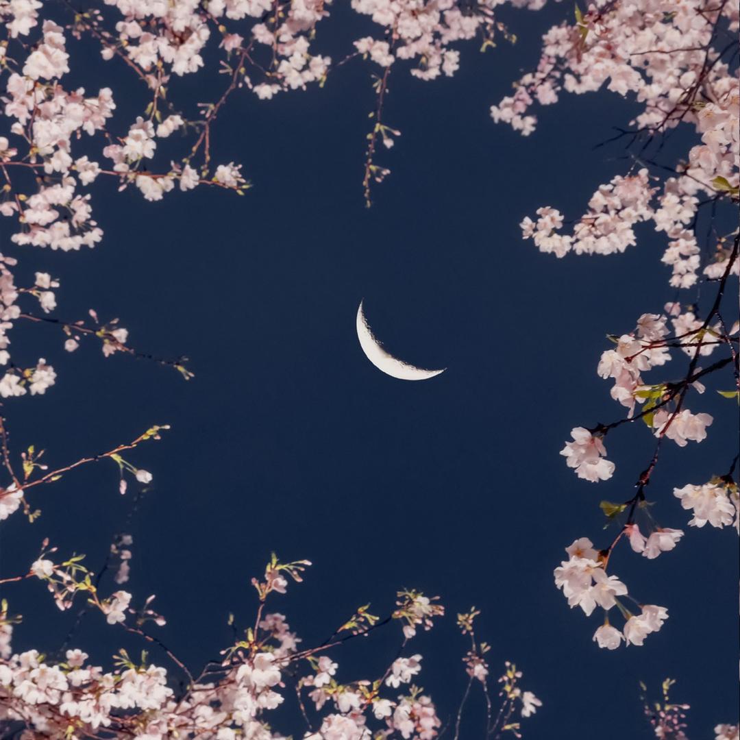 从嘉嘉嘉