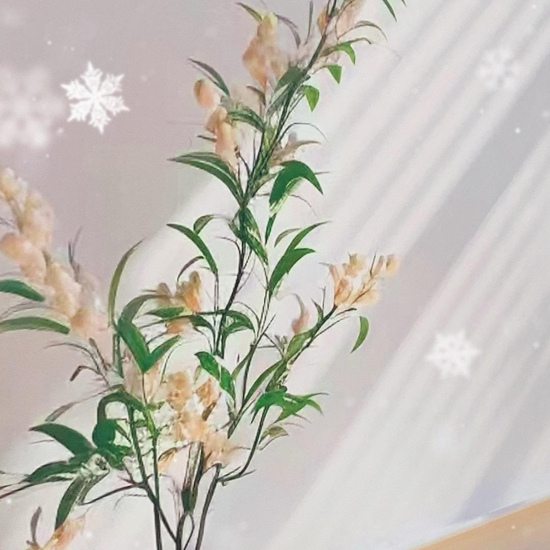 鑫 美 金💎（珠宝专场）