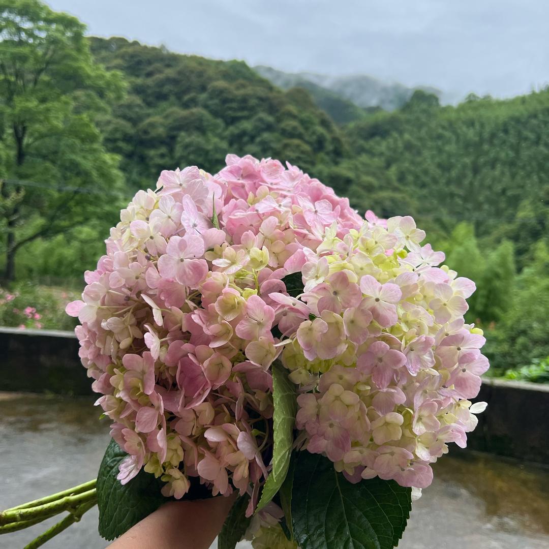 向钱看，别回头