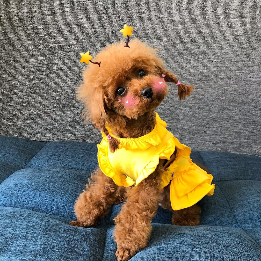 Tina妹妹