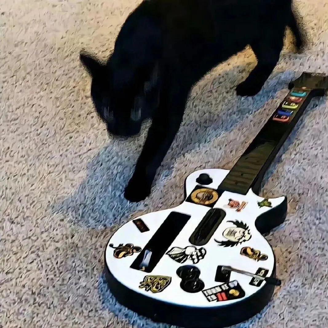 小猫打喷嚏导致🌏下雨